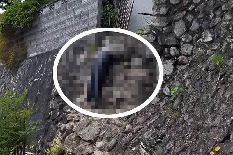 路邊驚見《一頭塞進排水管的大叔》遠看掛在半空中的下半身，夜裡路過絕對更恐怖...