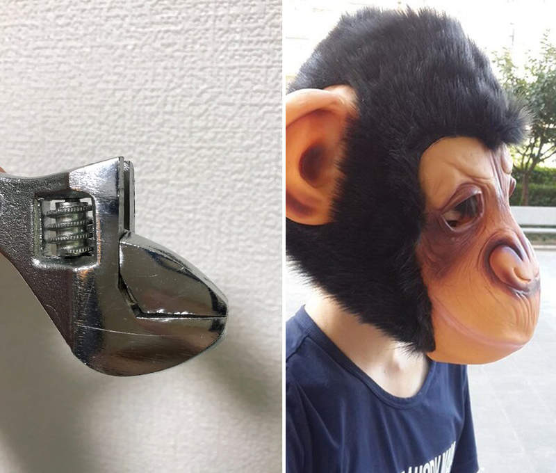 看過就回不去了《扳手很像猩猩的側臉》好像真的有點像,甚至還有點帥耶XD 看過就回不去了《扳手很像猩猩的側臉》好像真的有點像,甚至還有點帥耶XD