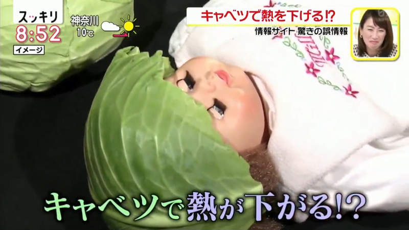 《醫生打臉網路謠言》發燒戴高麗菜?受傷塗芋頭泥?主婦網假知識讓專家直呼太扯了 《醫生打臉網路謠言》發燒戴高麗菜?受傷塗芋頭泥?主婦網假知識讓專家直呼太扯了