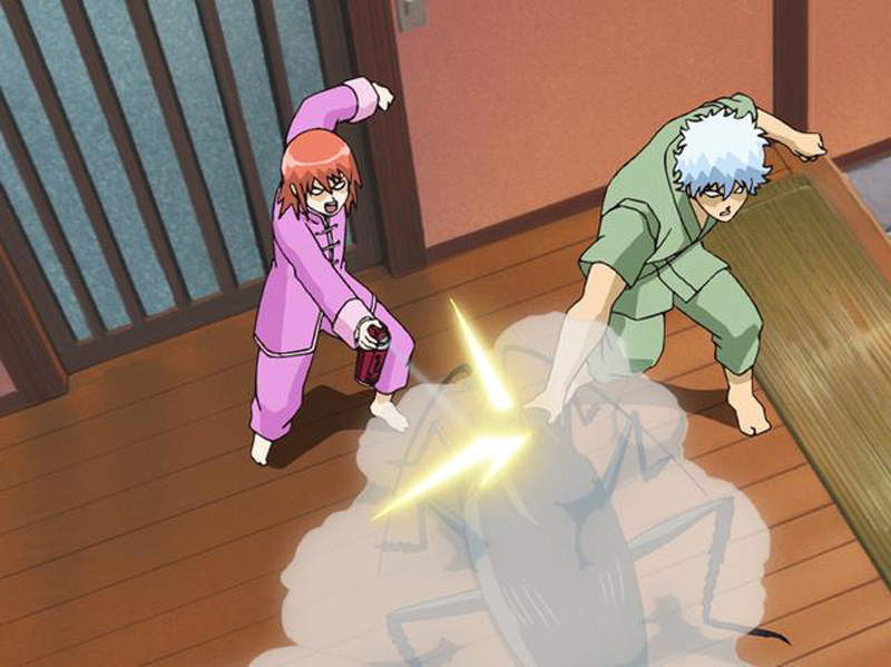 《正確的殺蟑方法》逃跑速度超快的小強,滅蟑噴霧最有效的噴法引發推特話題... 《正確的殺蟑方法》逃跑速度超快的小強,滅蟑噴霧最有效的噴法引發推特話題...