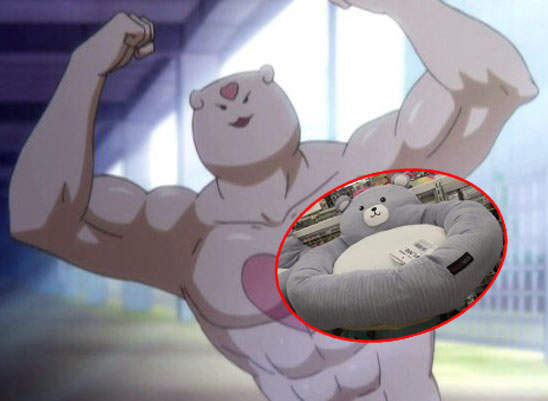 肌肉動物商品化《二頭肌熊抱軟墊》覺得軟是錯覺，這個墊子其實硬梆梆XD