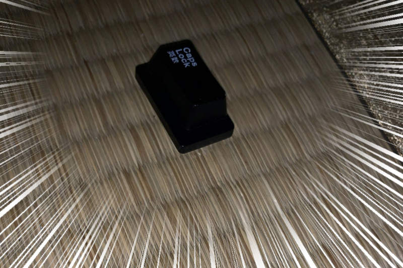家中驚見《野生CapsLock鍵》看到地上閃過黑影打了才發現不是小強啊啊啊ww 家中驚見《野生CapsLock鍵》看到地上閃過黑影打了才發現不是小強啊啊啊ww
