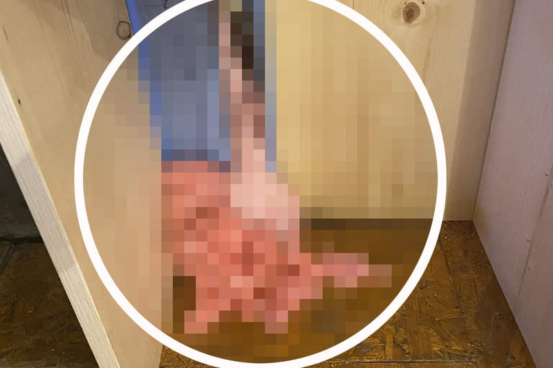 《牆壁縫隙衝出肉色物體》內臟感滿滿的物體不斷增殖，差點以為要被異形吞噬（最好是）