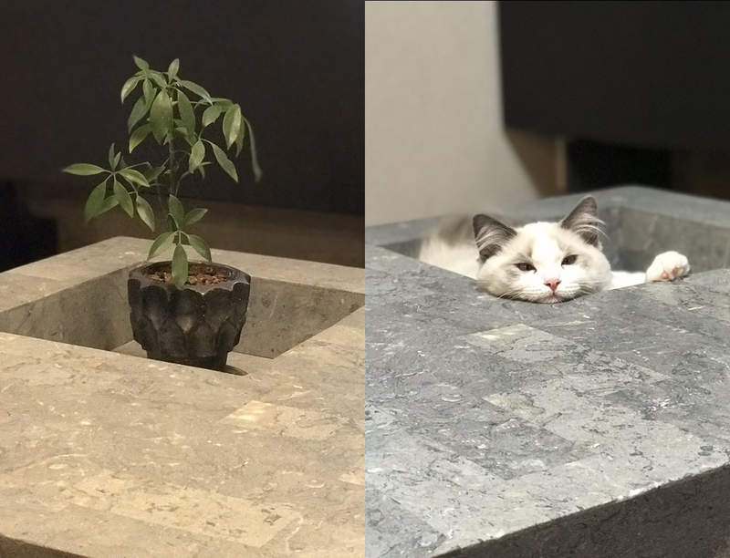 貓奴才懂《咖啡桌的理想與現實》幻想中的擺飾風格,買回來卻變成這樣... 貓奴才懂《咖啡桌的理想與現實》幻想中的擺飾風格,買回來卻變成這樣...