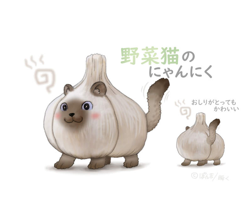 繪師創作超可愛的《動物野菜》挑食的人也會被牠們征服吧XD 繪師創作超可愛的《動物野菜》挑食的人也會被牠們征服吧XD