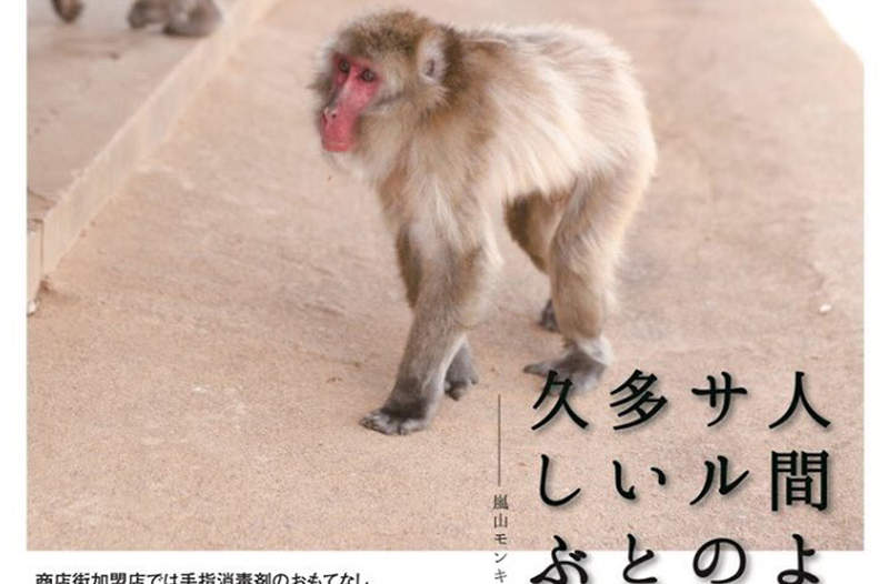 《肺炎疫情下的京都嵐山》猴子比人多、竹林空蕩蕩 廣告豁出去招攬觀光客回流 《肺炎疫情下的京都嵐山》猴子比人多、竹林空蕩蕩 廣告豁出去招攬觀光客回流