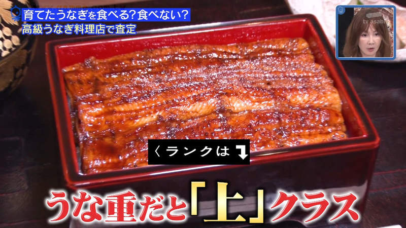 《綜藝節目養鰻魚500天》會吃掉自己命名的鰻魚嗎?工作人員培養出深厚感情超不捨…… 《綜藝節目養鰻魚500天》會吃掉自己命名的鰻魚嗎?工作人員培養出深厚感情超不捨……