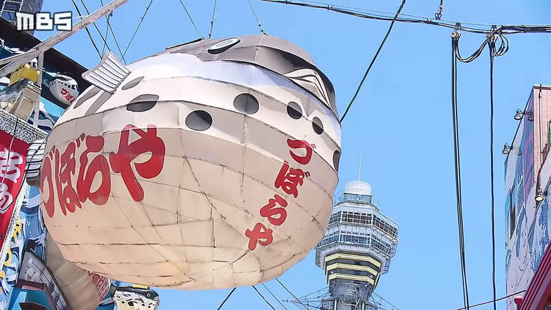 《河豚燈籠何去何從》大阪知名地標其實是違法招牌 政府還能睜一隻眼閉一隻眼嗎？