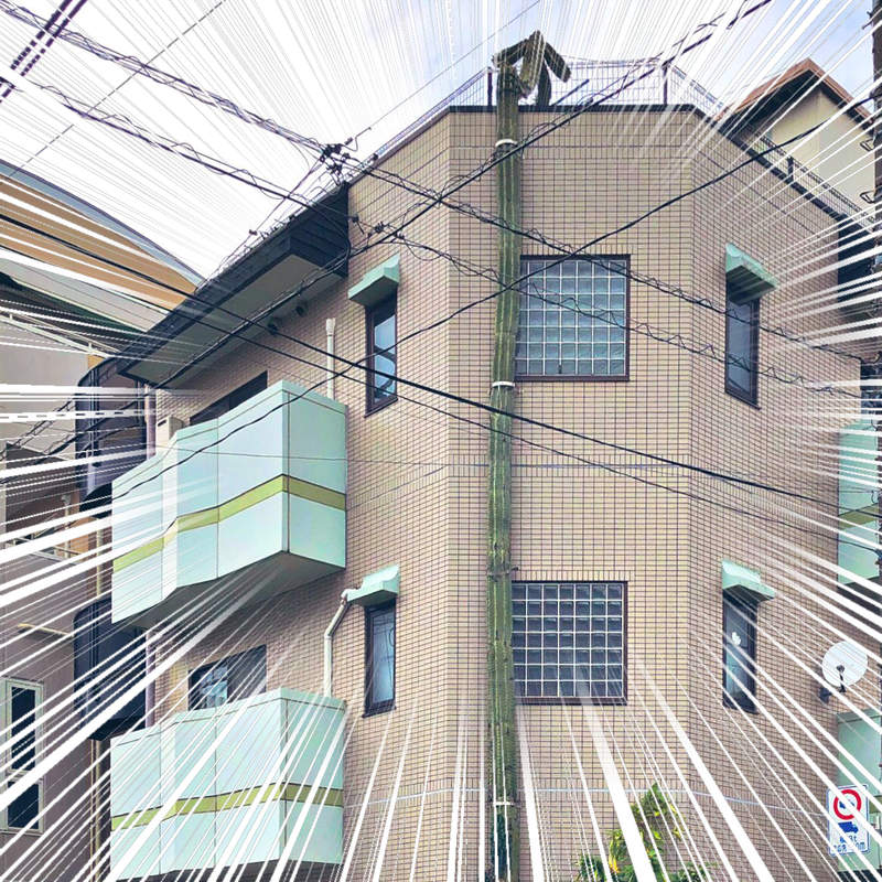 路邊驚見《直達屋頂的仙人掌》遠遠以為的電線桿,原來是巨大化的仙人掌ww 路邊驚見《直達屋頂的仙人掌》遠遠以為的電線桿,原來是巨大化的仙人掌ww