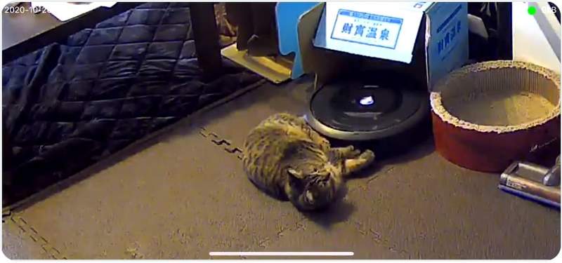 【有片】《來自掃地機器人的求救訊息》監視器拍到犯人堵住掃地機器人的囂張行徑引發瘋傳ww