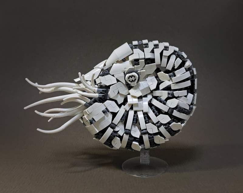 達人製作《鸚鵡螺樂高模型》我知道零件有很多但連觸手都會有嗎？