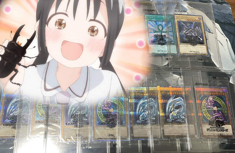 《炫富遊戲王收藏家遭小偷》因為鍬形蟲損失上億圓？愛上網炫耀小心被釣魚肉搜