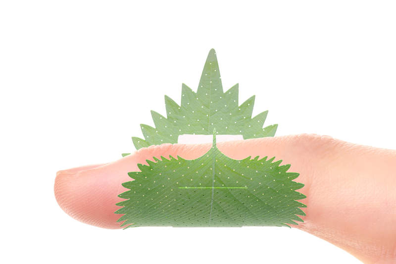 吃貨專用《紫蘇葉OK 繃》即使受傷也要讓手指保持美味狀態（？）