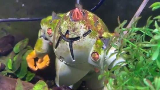 鋼彈模型活用法《佐克魚缸濾水器》超酷創意真的變成了水陸兩用機惹 鋼彈模型活用法《佐克魚缸濾水器》超酷創意真的變成了水陸兩用機惹