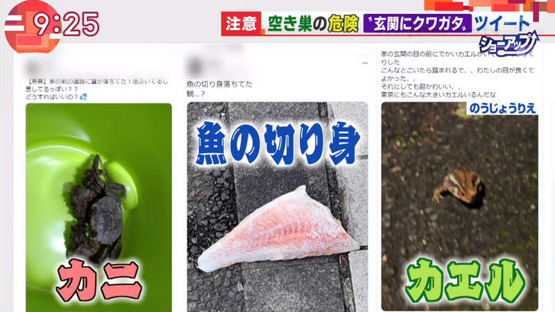 《炫耀奇妙事物的危險》前刑警呼籲留意小偷的釣魚手法 愛發文至少忍一忍不要立刻發 《炫耀奇妙事物的危險》前刑警呼籲留意小偷的釣魚手法 愛發文至少忍一忍不要立刻發