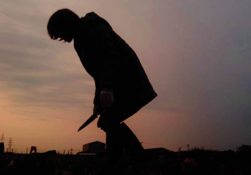 《採收高麗菜的老婆》手握菜刀的收成畫面,不小心變成驚悚電影裡的一幕...ww 《採收高麗菜的老婆》手握菜刀的收成畫面,不小心變成驚悚電影裡的一幕...ww