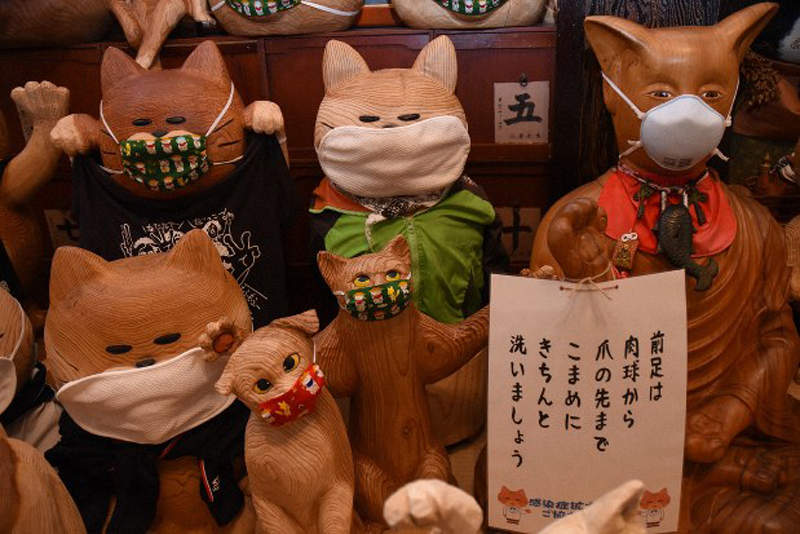 日本貓寺防疫大作戰《雲林寺》寺內貓咪為了對抗新冠病毒也開始戴起口罩...