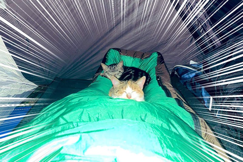 《深夜露營地的恐怖體驗》睡到一半覺得腳邊沉重,手機一拍果然拍到毛毛身影w 《深夜露營地的恐怖體驗》睡到一半覺得腳邊沉重,手機一拍果然拍到毛毛身影w