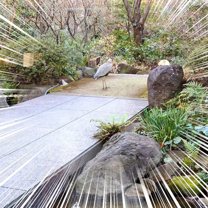 《飯店喝下午茶驚見窗外生死一瞬間》池邊蒼鷺竟在享用比人類更高檔的下午茶... 《飯店喝下午茶驚見窗外生死一瞬間》池邊蒼鷺竟在享用比人類更高檔的下午茶...