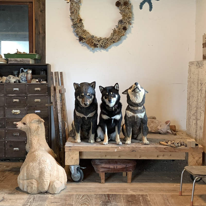 《模仿雕刻的柴犬》跟主人的雕刻作品相處久了，結果就不小心被同化了...ww