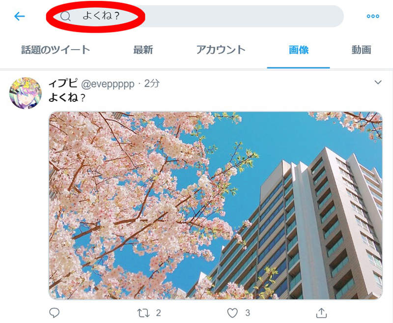 《推特搜尋櫻花照的另類方法》關鍵字改用「很棒吧？」竟然比「櫻」搜出更多圖片！？