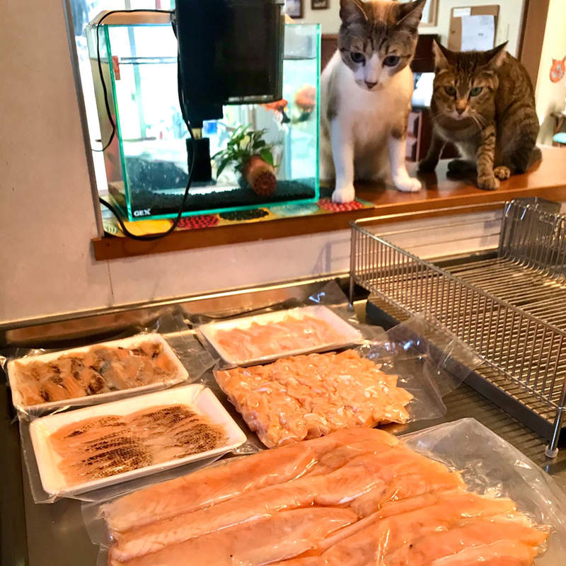 貓奴日常《被完全鎖定的食材》連等待解凍都無法放心從現場離開... 貓奴日常《被完全鎖定的食材》連等待解凍都無法放心從現場離開...