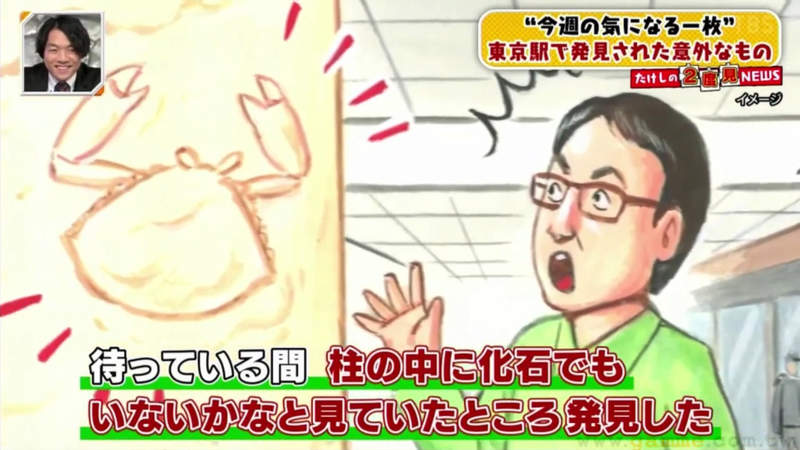 《東京車站藏有螃蟹化石》化石愛好者的意外發現引爆網路熱議 連學者都不禁讚嘆眼睛有夠利 《東京車站藏有螃蟹化石》化石愛好者的意外發現引爆網路熱議 連學者都不禁讚嘆眼睛有夠利