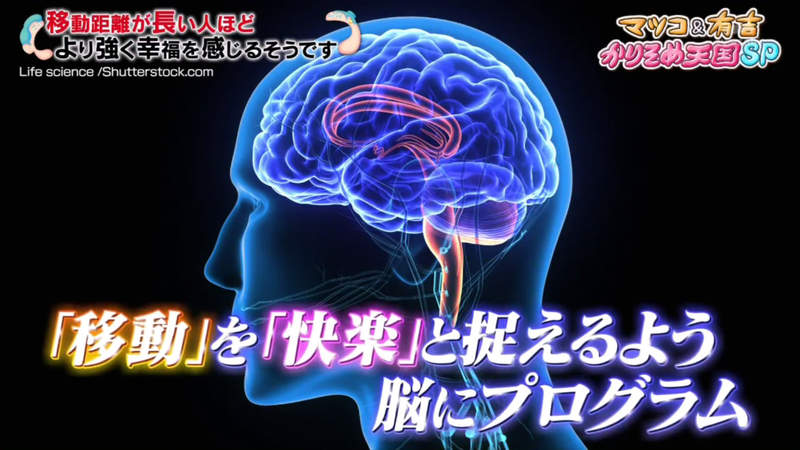 《人腦覺得移動越遠越快樂》真的所有人都是這樣嗎？有吉弘行吐槽搭便車旅遊只有痛苦而已
