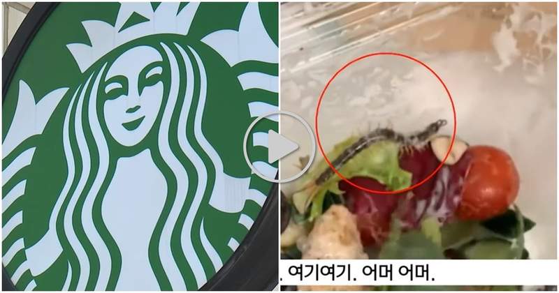 好噁~《蜈蚣在沙拉上蠕動》 韓國星巴克回應令顧客傻眼⊙▂⊙ 「外帶食安出問題」就該消費者自行負責嗎? 好噁~《蜈蚣在沙拉上蠕動》 韓國星巴克回應令顧客傻眼⊙▂⊙ 「外帶食安出問題」就該消費者自行負責嗎?