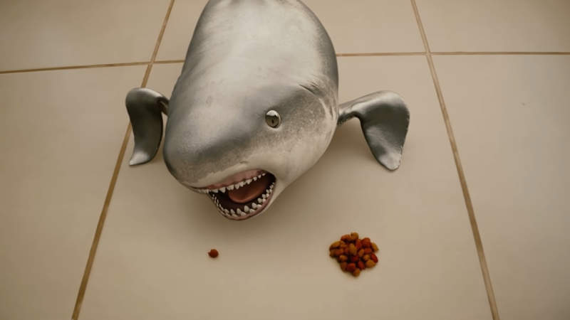 萌寵小鯊魚《Tuba》影片推出至今累積5億播放次數超人氣 萌寵小鯊魚《Tuba》影片推出至今累積5億播放次數超人氣