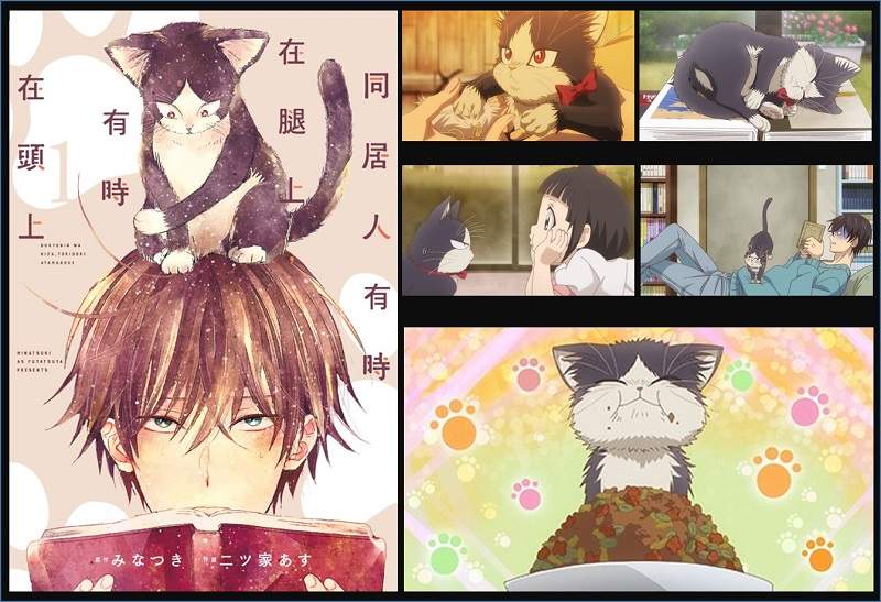 「みなつき」、「二ツ家あす」《同居人是貓∕同居人有時在腿上,有時在頭上》第一季 1~12話Youtube#動漫 線上看 「みなつき」、「二ツ家あす」《同居人是貓∕同居人有時在腿上,有時在頭上》第一季 1~12話Youtube#動漫 線上看