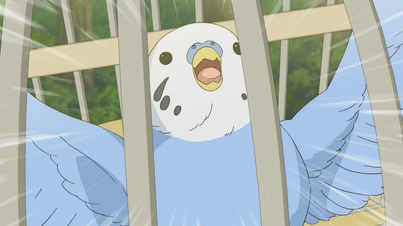 《鸚鵡飼主崩潰記》發現有美女獸醫的動物醫院超開心 想不到竟是電腦教室架的假網站 《鸚鵡飼主崩潰記》發現有美女獸醫的動物醫院超開心 想不到竟是電腦教室架的假網站