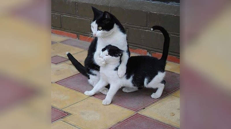 999%的人看了覺得《這個畫面超厲害動圖》把嘴巴捂住小心不要叫出來 999%的人看了覺得《這個畫面超厲害動圖》把嘴巴捂住小心不要叫出來