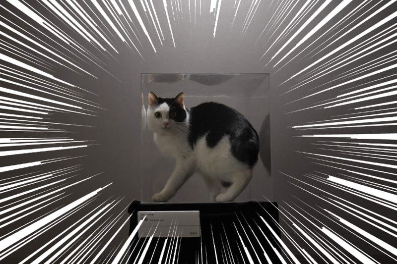 另類貓塔《貓的美術品跳台》擺在家裡就可以營造出美術館的氛圍好讚ㅇㅅㅇ 另類貓塔《貓的美術品跳台》擺在家裡就可以營造出美術館的氛圍好讚ㅇㅅㅇ