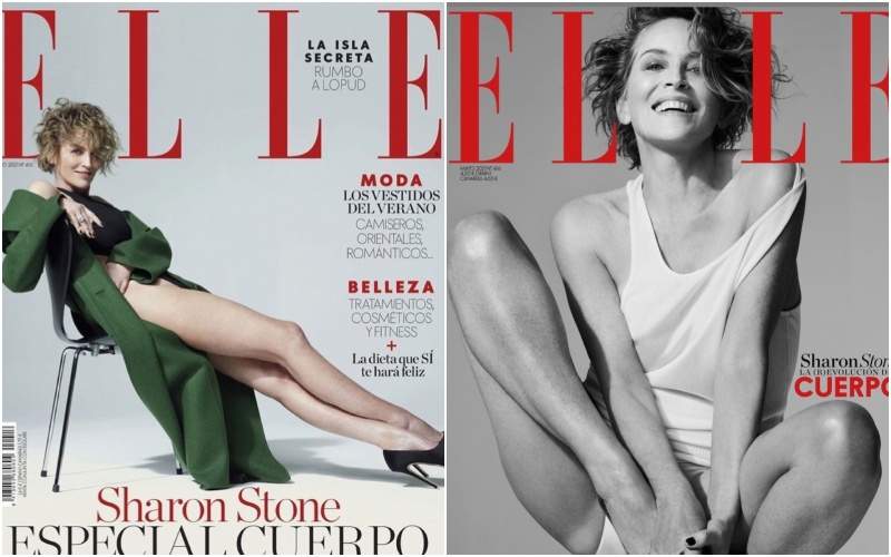 63歲《莎朗史東》雜誌封面秀逆天美腿 自傳揭電影走光疑雲  63歲《莎朗史東》雜誌封面秀逆天美腿 自傳揭電影走光疑雲