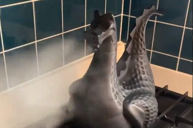 【有片】《超狂神龍加濕器》放在爐上加熱的畫面，不禁懷疑我到底買了什麼東西ww