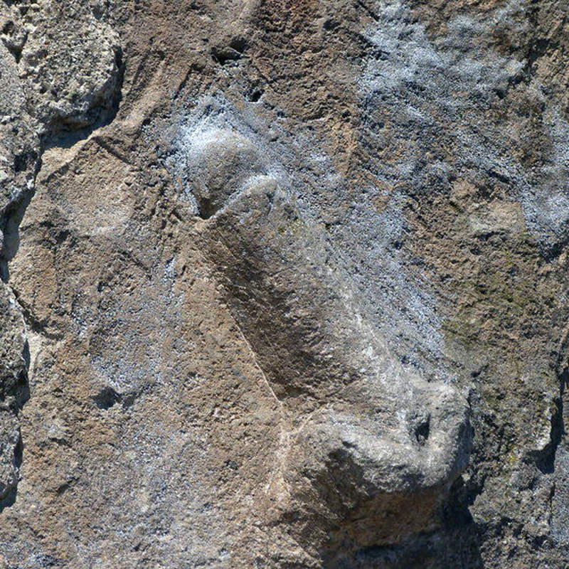 2千年前的羊肉爐出土！崇尚陽根的《龐貝城》小吃究竟賣啥？居然還有Uber Eats？