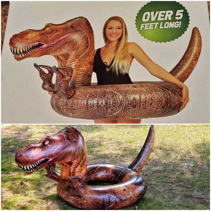 看了傷心《跟事實不符的廣告與商品》如果我買了恐龍游泳圈,我應該要做好不會被雷到的心理建設才對 看了傷心《跟事實不符的廣告與商品》如果我買了恐龍游泳圈,我應該要做好不會被雷到的心理建設才對