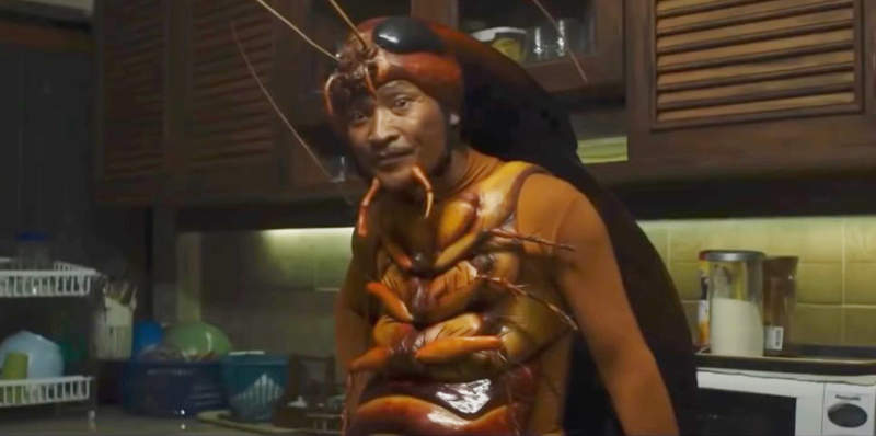 網友看法《給蟑螂添加什麼能力你會感到害怕》增殖吧!?打死一隻變兩隻這種很OP 網友看法《給蟑螂添加什麼能力你會感到害怕》增殖吧!?打死一隻變兩隻這種很OP