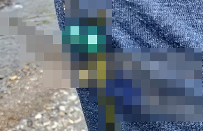 《推特話題神奇蜻蜓飾品》只要別在身上就可以驅蟲?恐怖外貌說不定連人都嚇跑 《推特話題神奇蜻蜓飾品》只要別在身上就可以驅蟲?恐怖外貌說不定連人都嚇跑