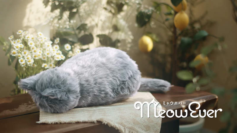 貓貓抱枕《MeowEver》幾乎就跟真貓一樣的大小重量,內藏懷爐讓你感受溫度體驗真實養貓感覺 貓貓抱枕《MeowEver》幾乎就跟真貓一樣的大小重量,內藏懷爐讓你感受溫度體驗真實養貓感覺