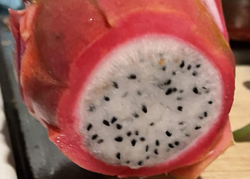 《火龍果皮創意料理》號稱吃起來超像鮪魚生魚片？日本網友半信半疑做看看……