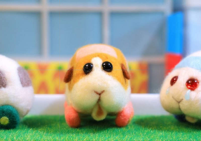 最夯動畫《天竺鼠車車》這是給小朋友看的嗎?我覺得大人比較愛看耶XD 最夯動畫《天竺鼠車車》這是給小朋友看的嗎?我覺得大人比較愛看耶XD