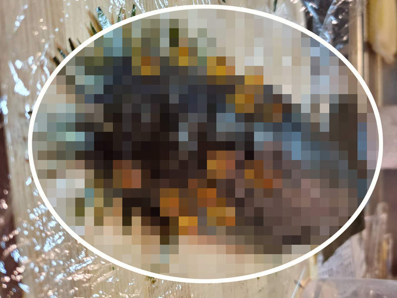 《妹妹自製的王蟲壽司》原本喜歡鮭魚卵的兒子，該不會從此討厭鮭魚卵吧ww