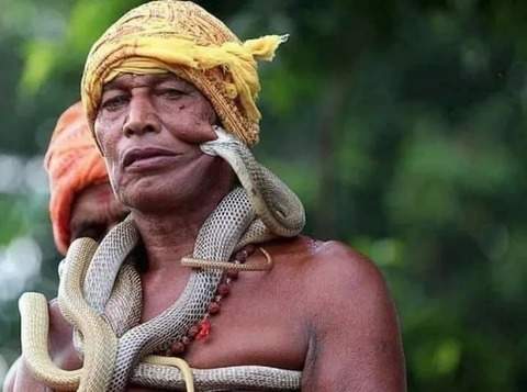 嘴角失守《魔術表演gif》一名專業弄蛇人表示，這家常便飯不用緊張