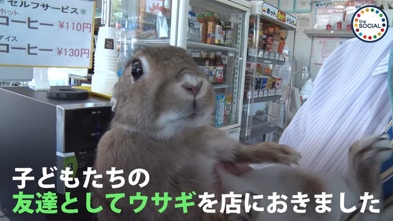 《兔子看店的便利商店》顛覆城市觀念的古怪商店 成為高齡化地區的購物綠洲 