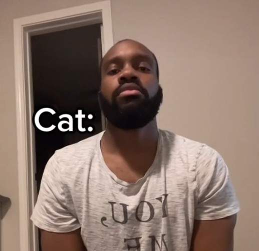 貓貓模仿家《themanifamily》如果用人去表現喵星人的行為...就不會那麼可愛惹(汗)