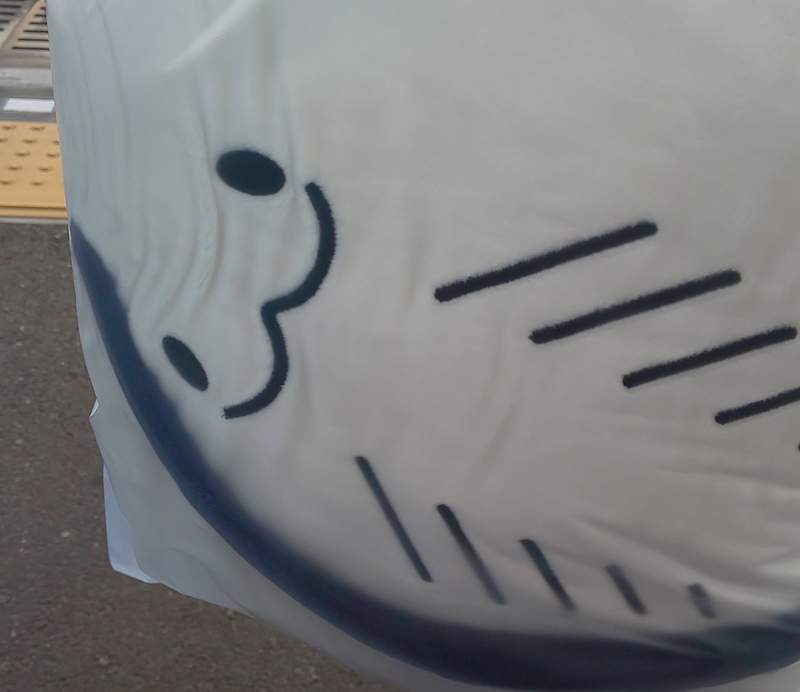 最可愛周邊《魟魚君坐墊》捨不得拿來坐天天抱著睡覺比較爽 最可愛周邊《魟魚君坐墊》捨不得拿來坐天天抱著睡覺比較爽