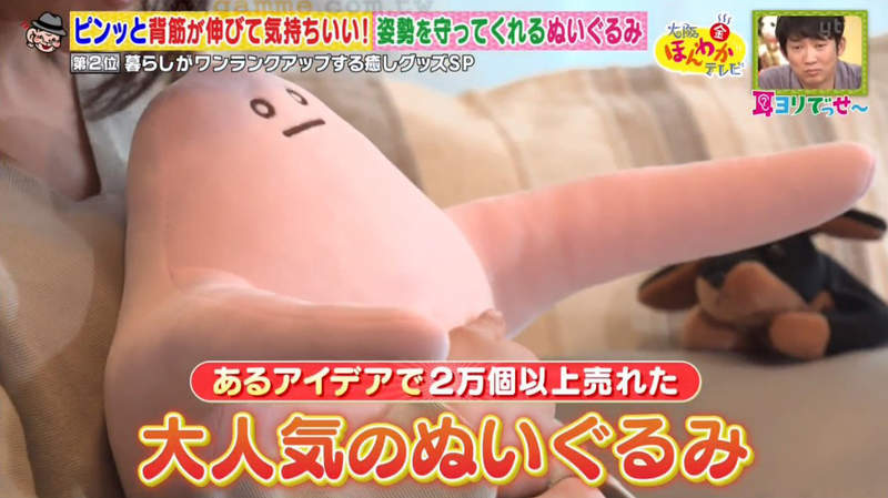 《姿勢矯正抱枕MAMO》只要抱著就能改善駝背？疫情下在家工作的上班族良伴