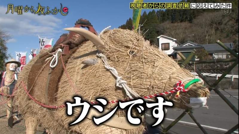 明明是牛年卻做成《野豬造型稻草人》負責表示：這就是牛啊